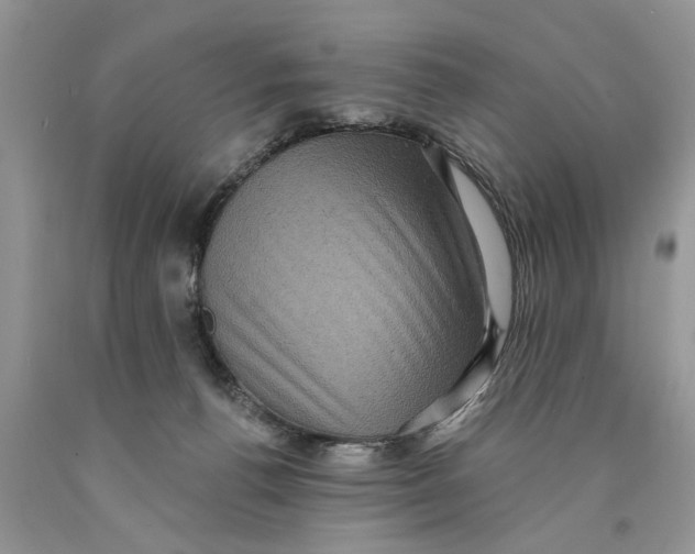 X0000089960176200707271908