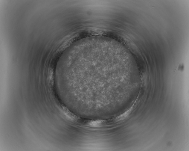 X0000089960178200707271908