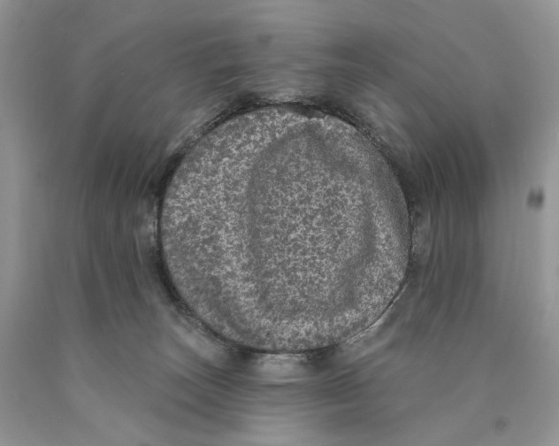 X0000089960179200707271908