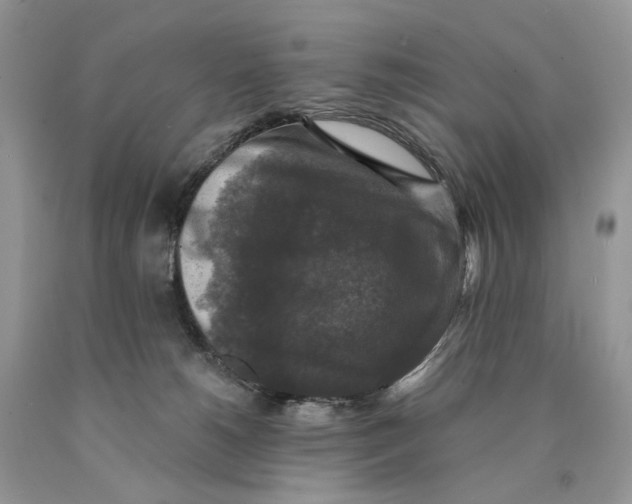 X0000089960180200707271908