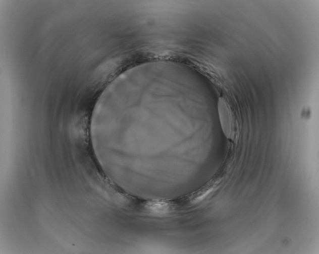 X0000089960181200707271908