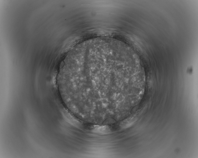 X0000089960185200707271908