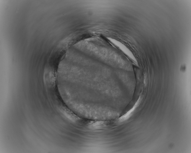 X0000089960186200707271909