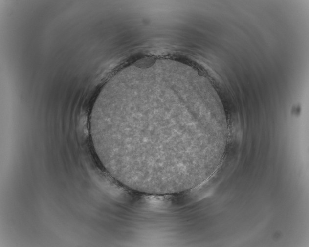 X0000089960187200707271909