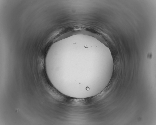 X0000089960188200707271909