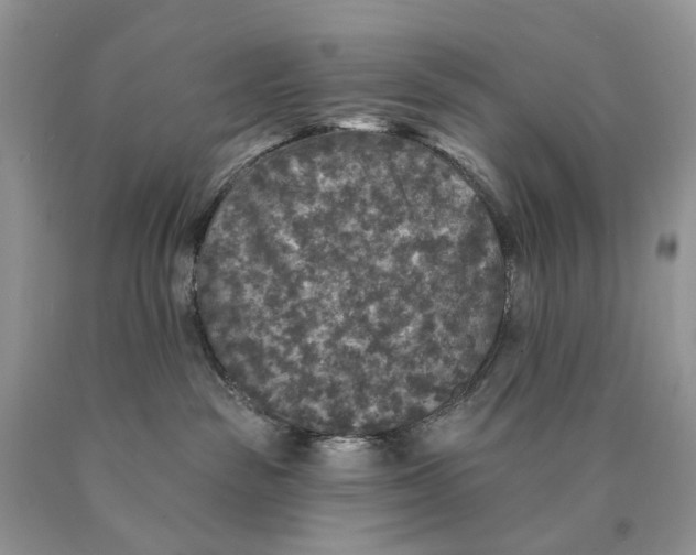 X0000089960189200707271909