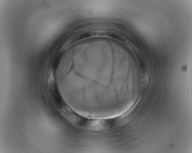 X0000089960191200707271909