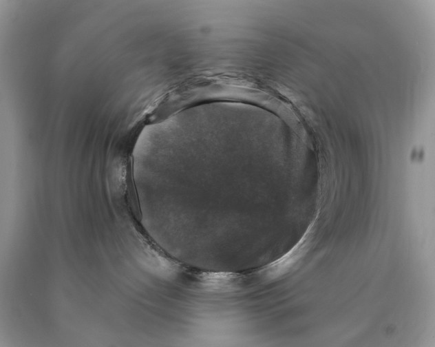 X0000089960192200707271909