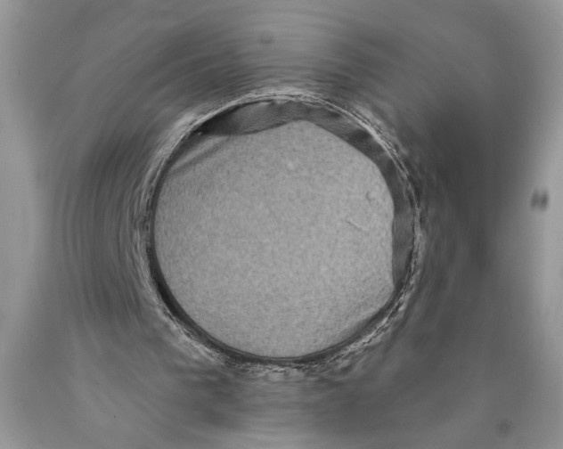 X0000089960193200707271908