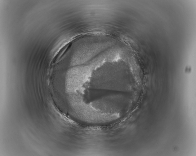 X0000089960194200707271908