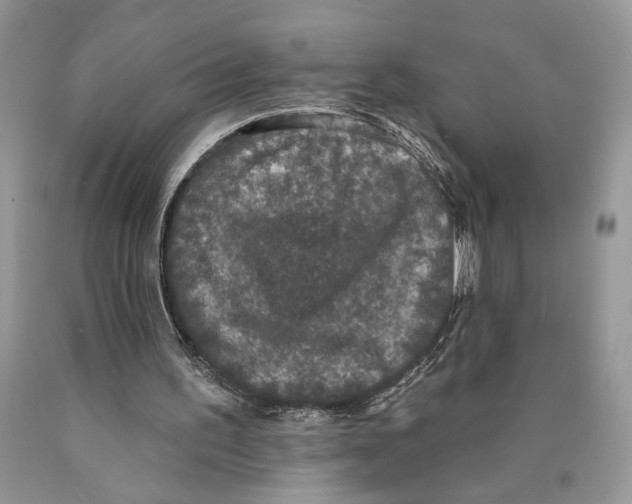 X0000089960195200707271908