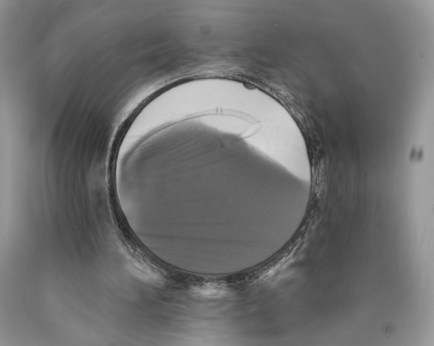 X0000089960196200707271908