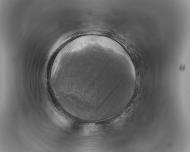 X0000089960198200707271908