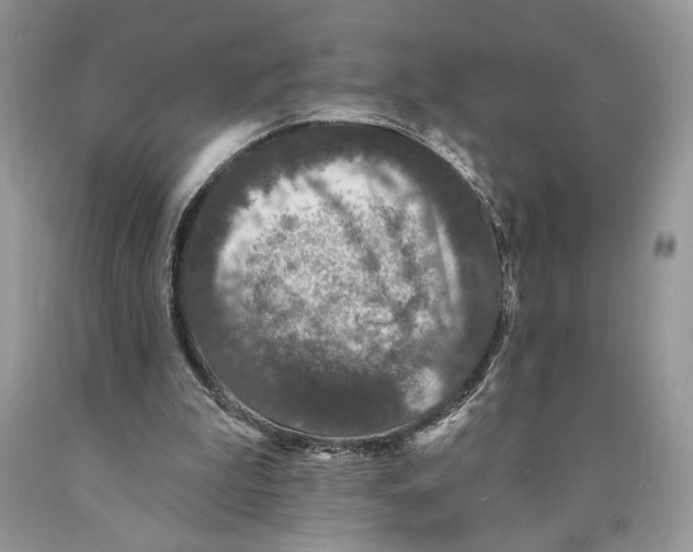 X0000089960199200707271908