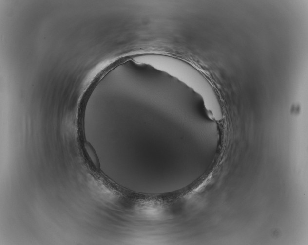 X0000089960200200707271908