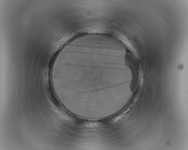 X0000089960202200707271908