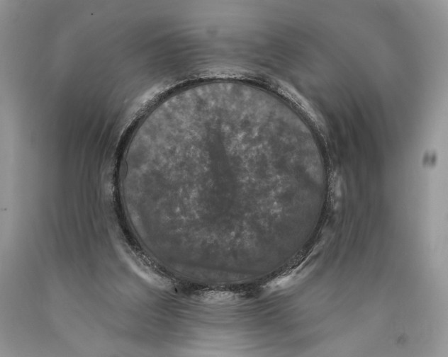 X0000089960203200707271908