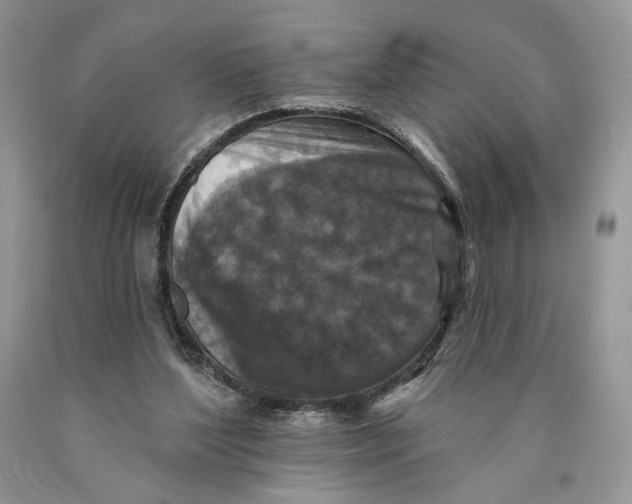 X0000089960204200707271908