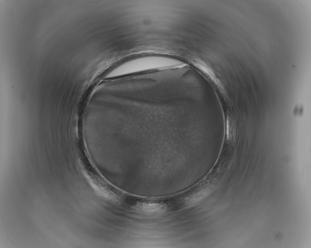 X0000089960205200707271908