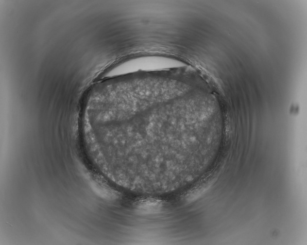 X0000089960206200707271908