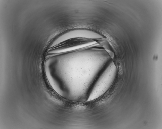 X0000089960207200707271908