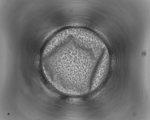 X0000089960208200707271908