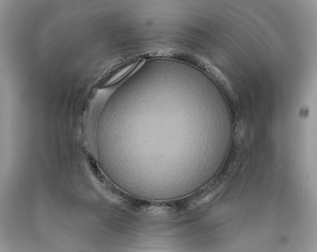 X0000089960209200707271908