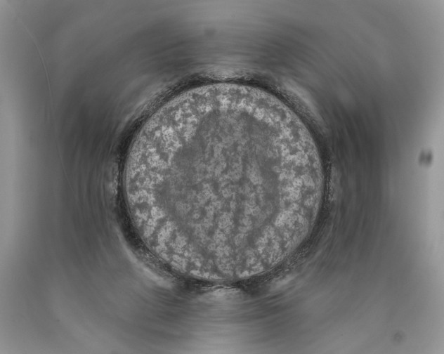 X0000089960210200707271908