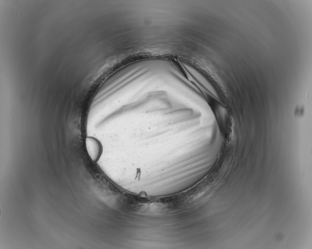 X0000089960212200707271908