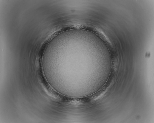 X0000089960213200707271908