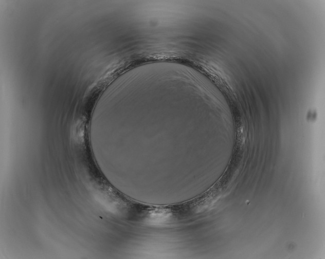 X0000089960214200707271908