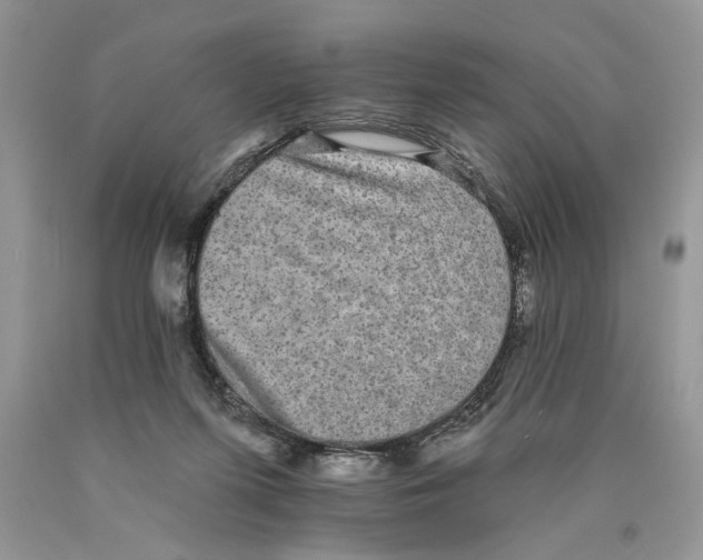 X0000089960215200707271908