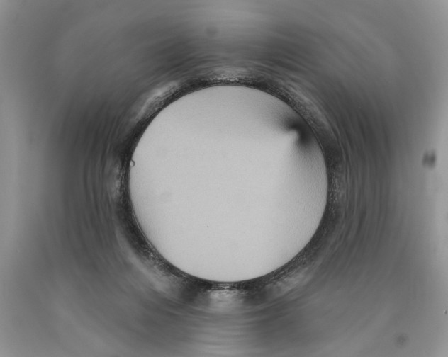 X0000089960216200707271908