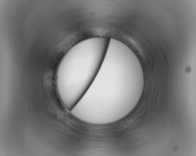 X0000089960217200707271908