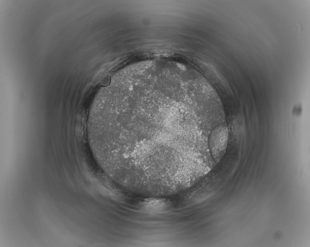 X0000089960218200707271908