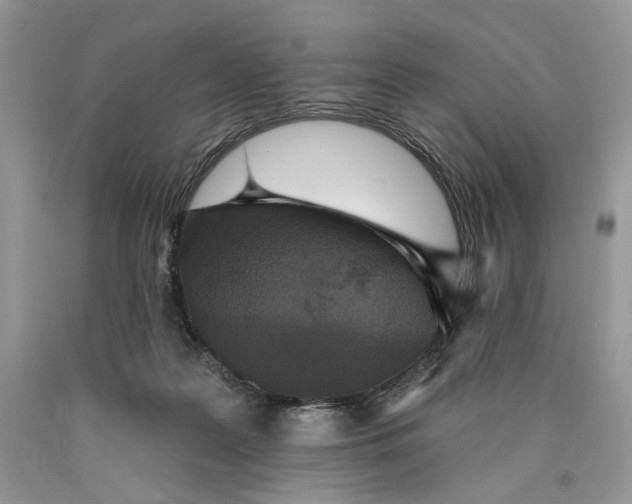 X0000089960219200707271908