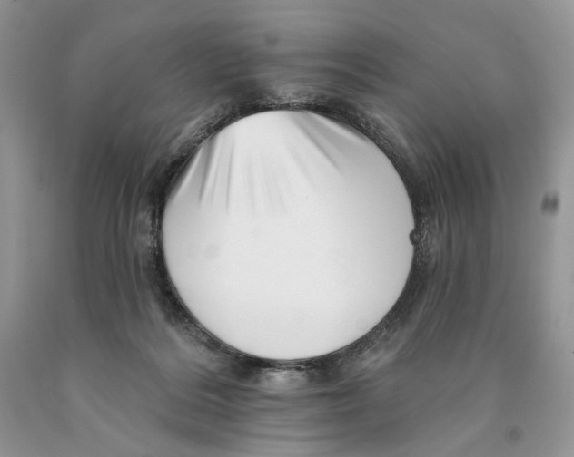 X0000089960220200707271908