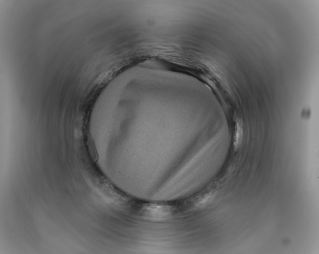 X0000089960221200707271908