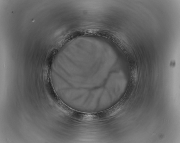 X0000089960222200707271908