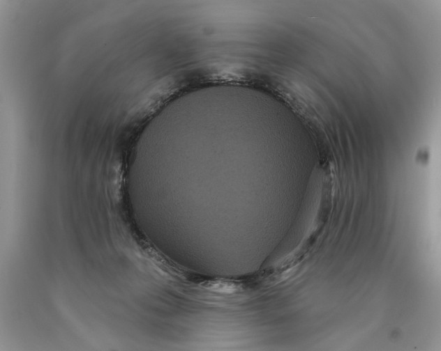 X0000089960223200707271908