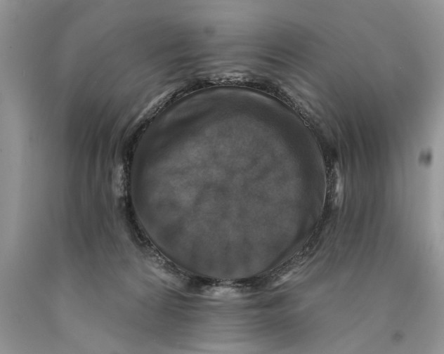 X0000089960224200707271908