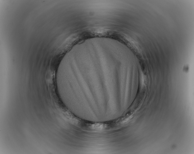 X0000089960225200707271908