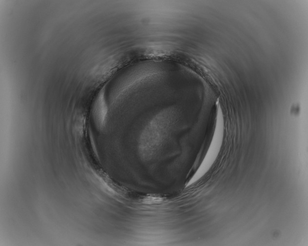 X0000089960227200707271908