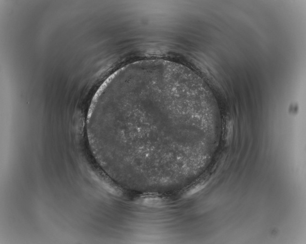 X0000089960228200707271908