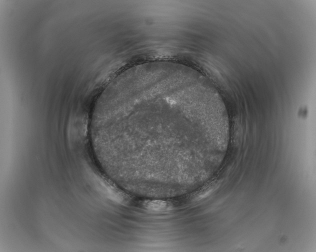 X0000089960230200707271908