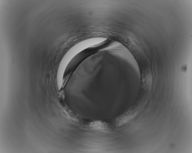 X0000089960231200707271908