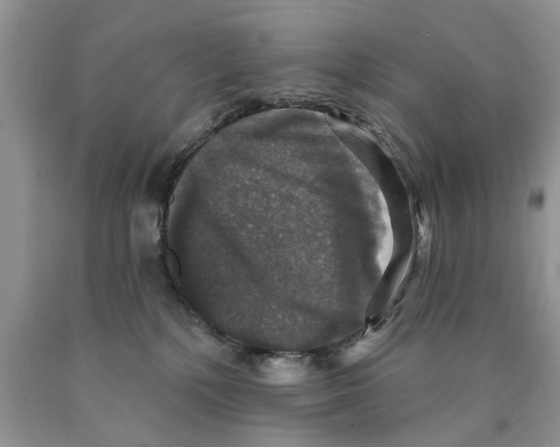 X0000089960232200707271908