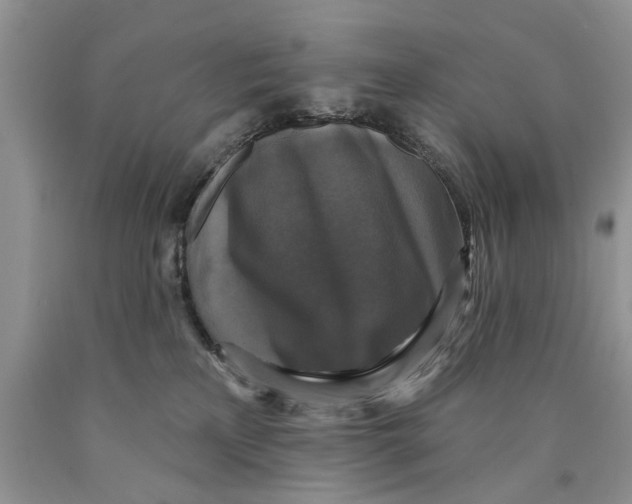 X0000089960233200707271907