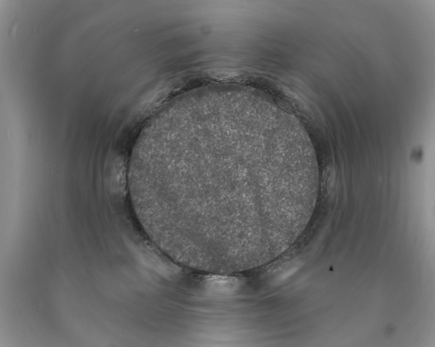 X0000089960234200707271907