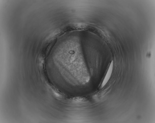 X0000089960235200707271907